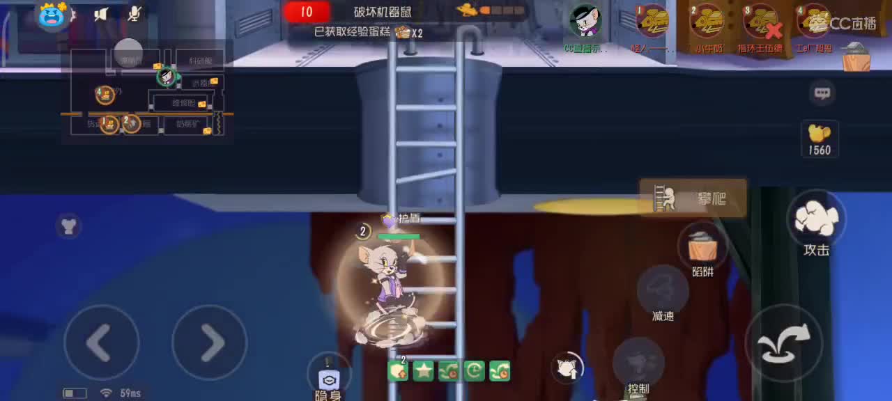 猫鼠S10 愿大家事事如愿~身体健康