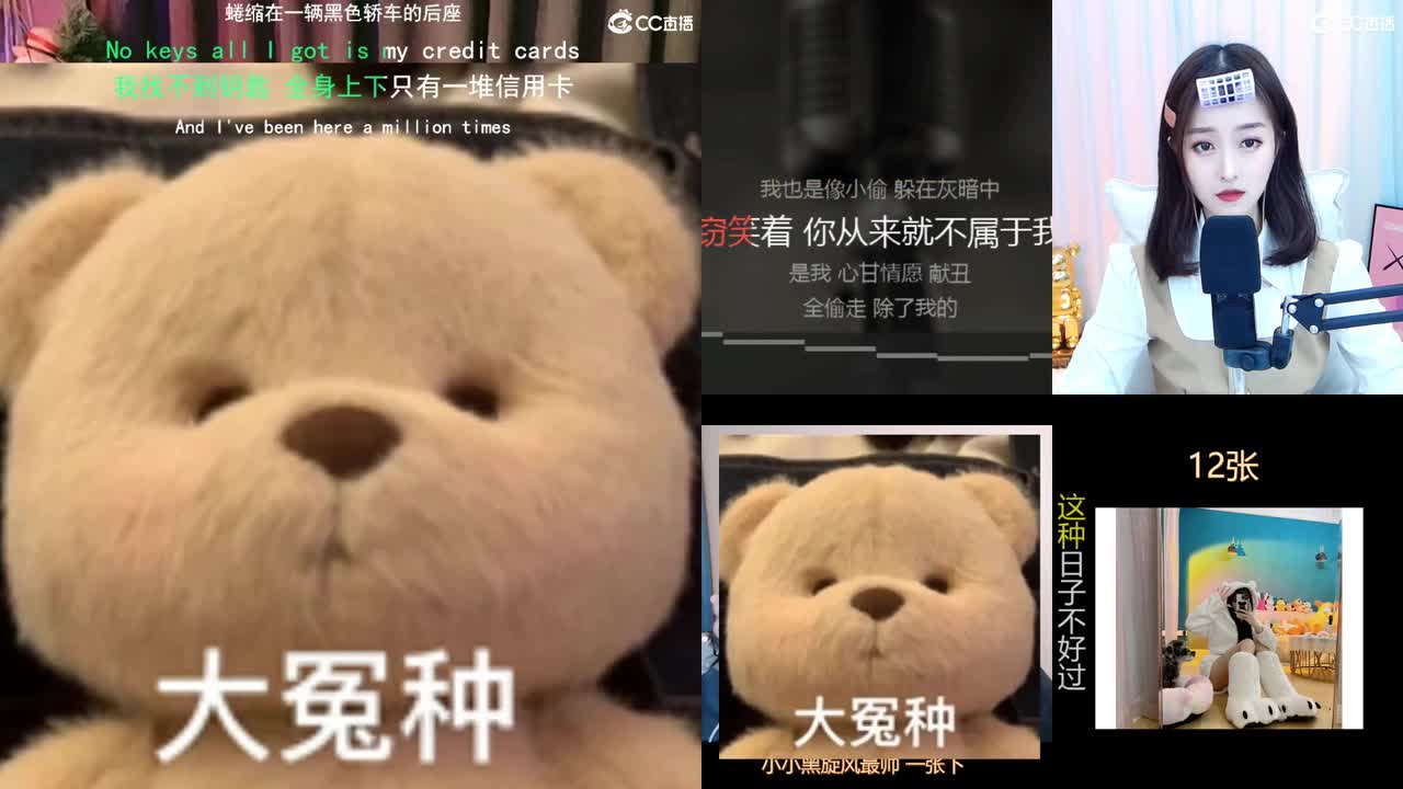 唱歌的勇武菜猪