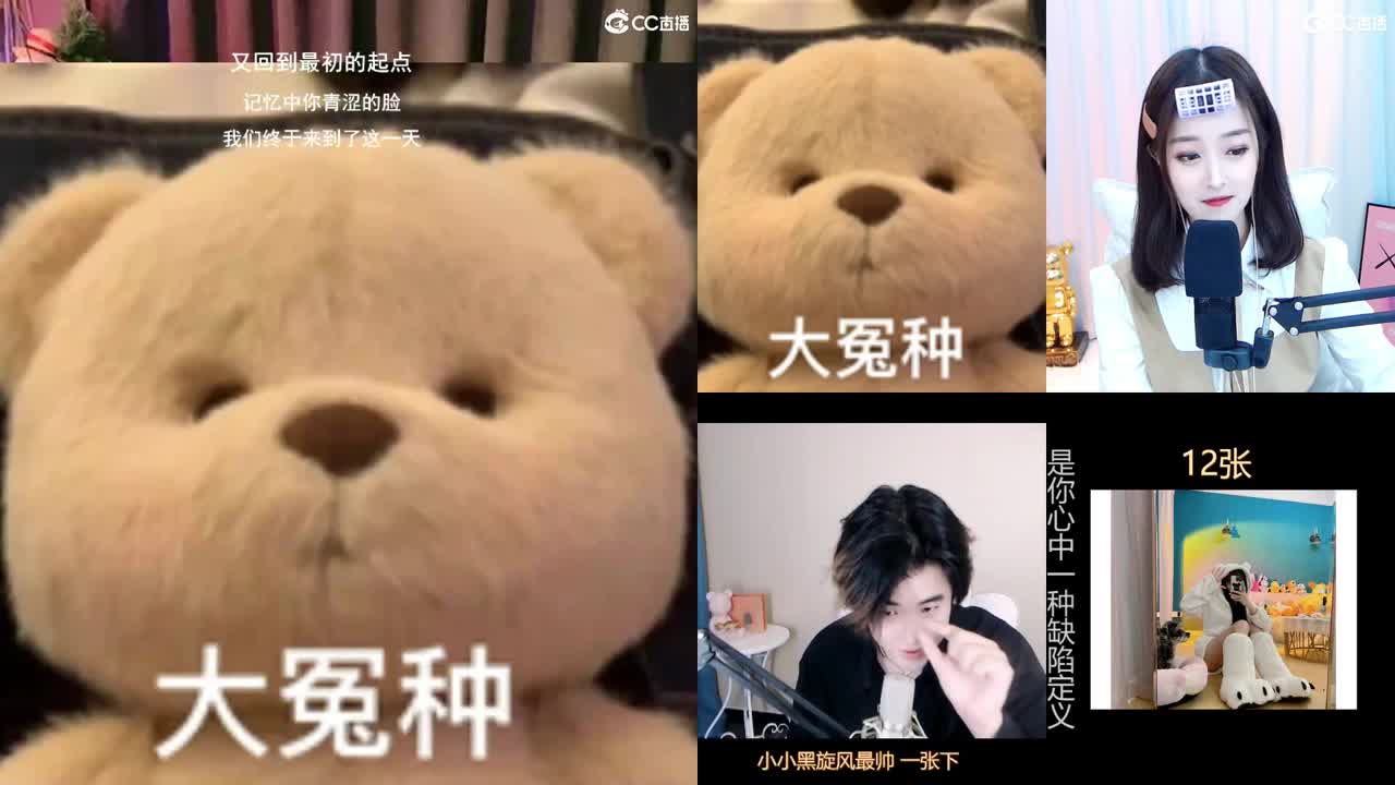 唱歌的勇武菜猪