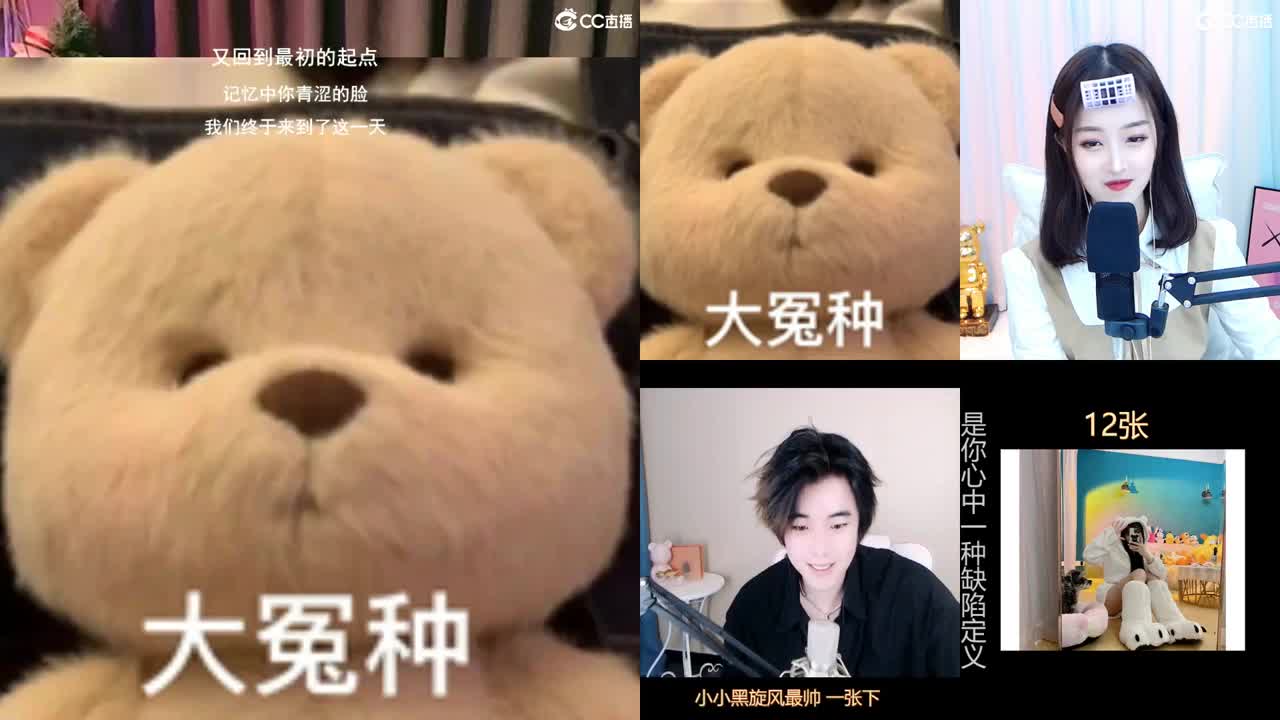 唱歌的勇武菜猪