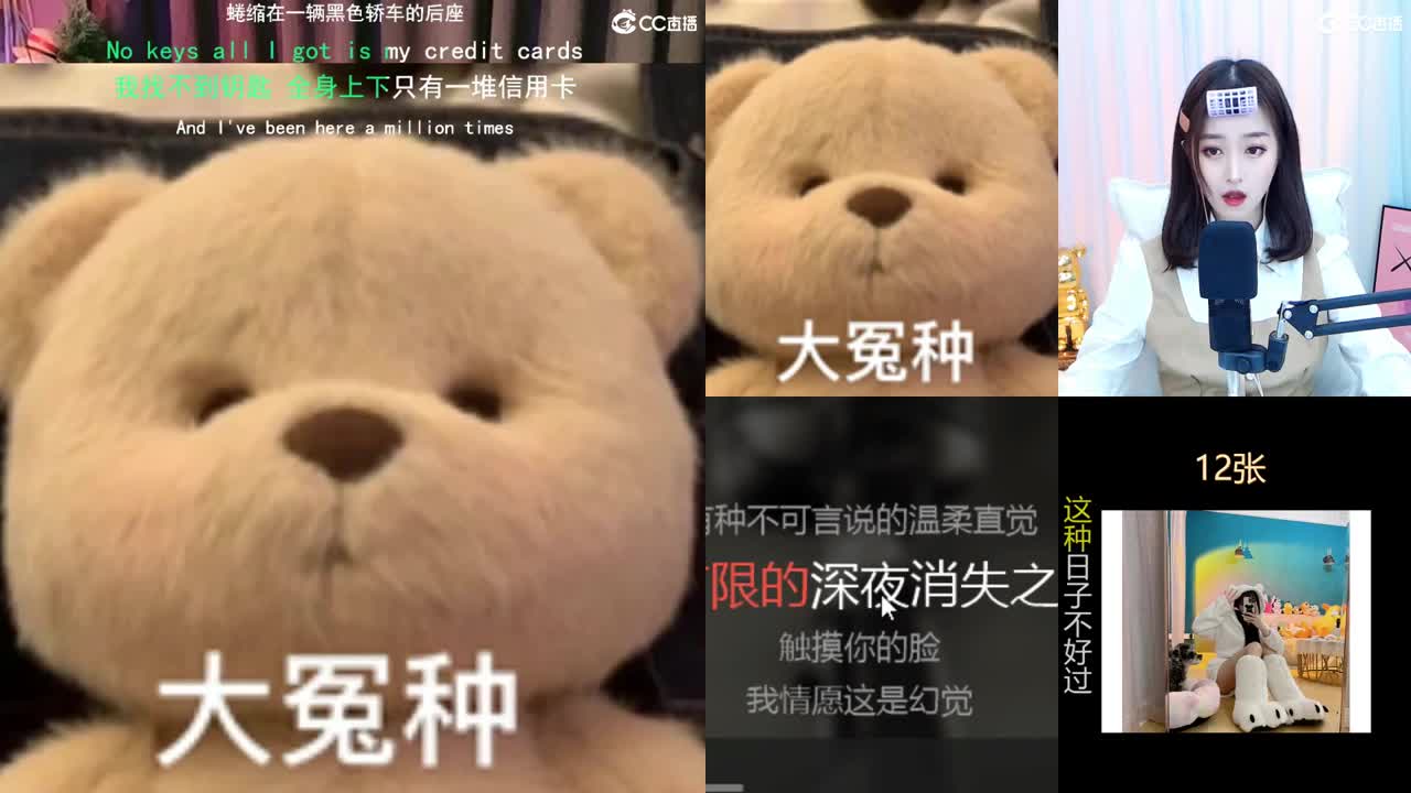 唱歌的勇武菜猪