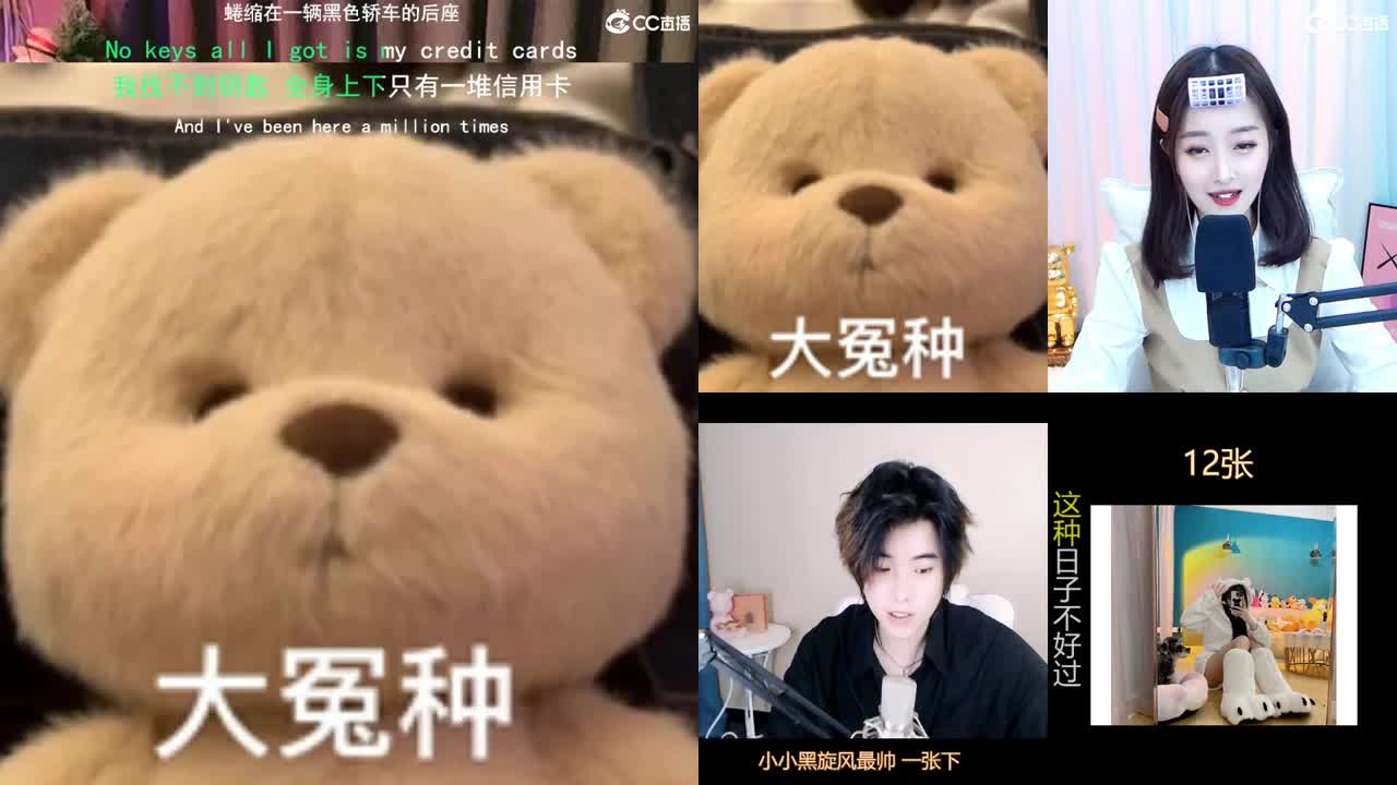 唱歌的勇武菜猪