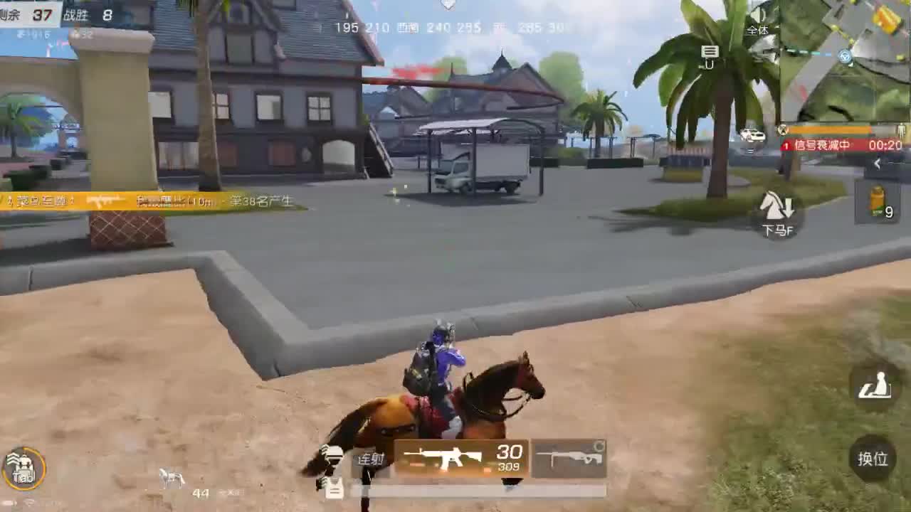 美貌与智慧并存，颜值与才华齐飞