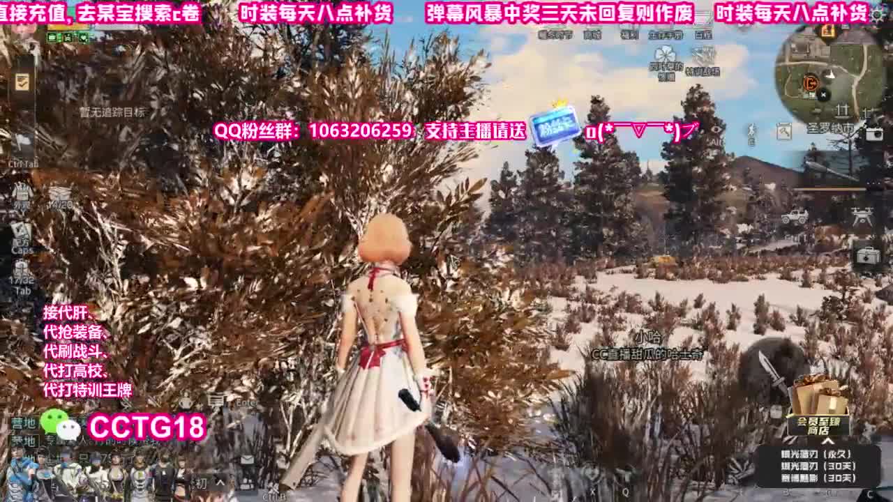 30秒到赛博银光
