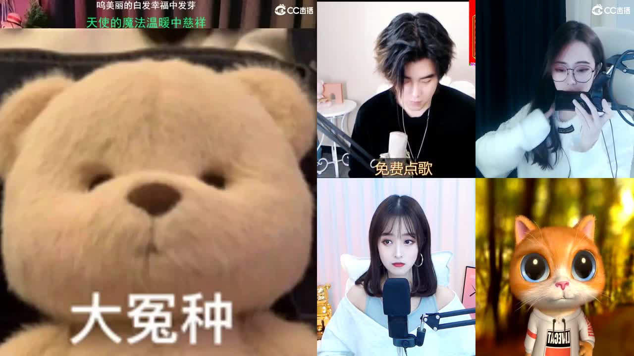 唱歌的勇武菜猪