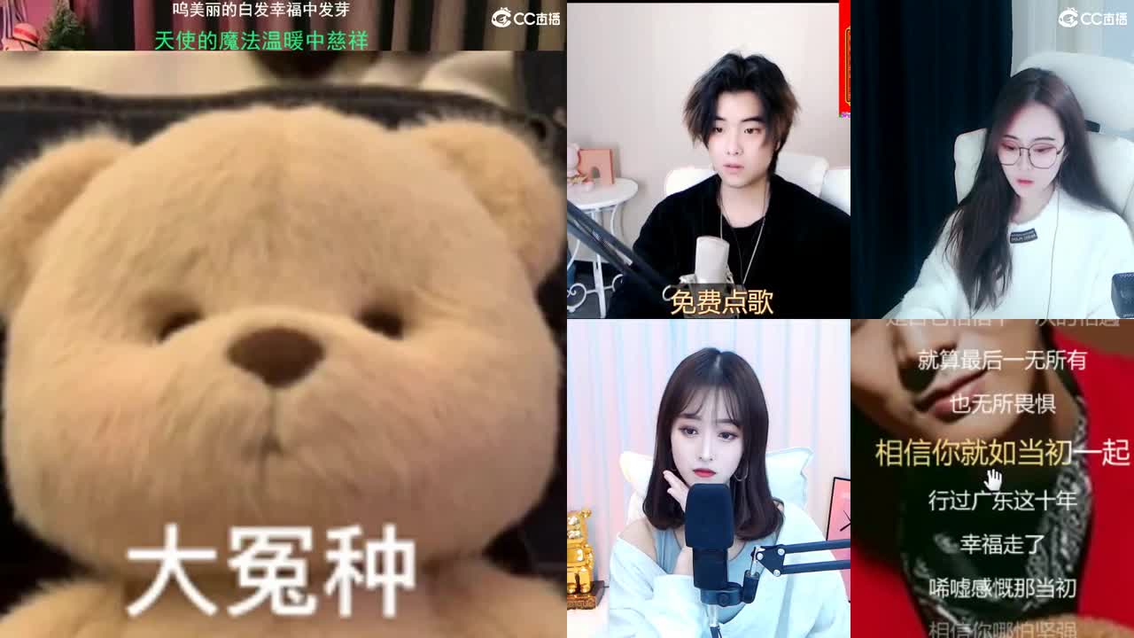 唱歌的勇武菜猪