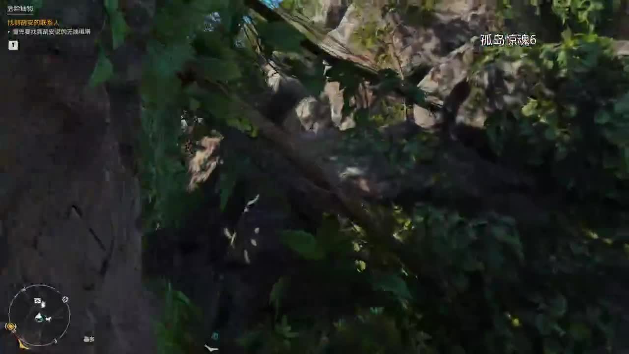 药丸的茶座《孤岛惊魂6》初见 第1段