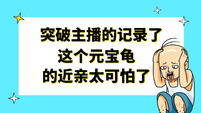 梦幻西游：突破主播的记录了，这个元宝龟的近亲太可怕了