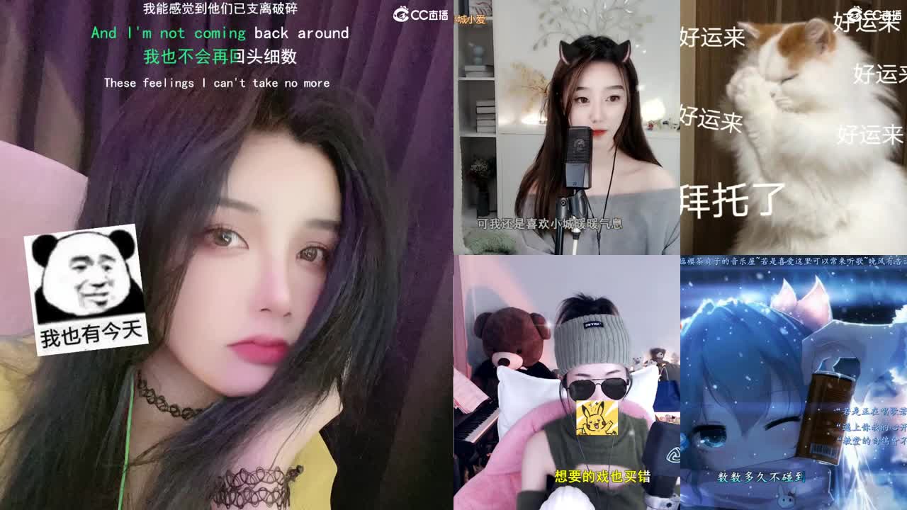 唱歌的勇武菜猪