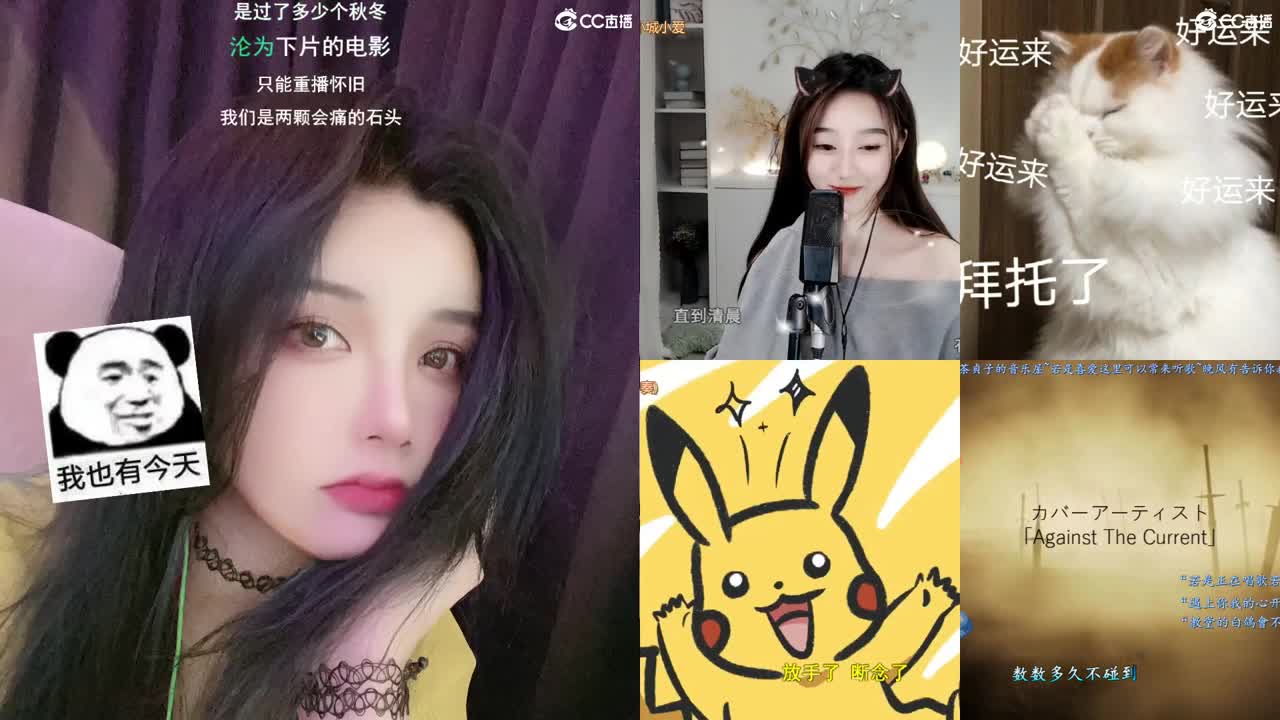 唱歌的勇武菜猪