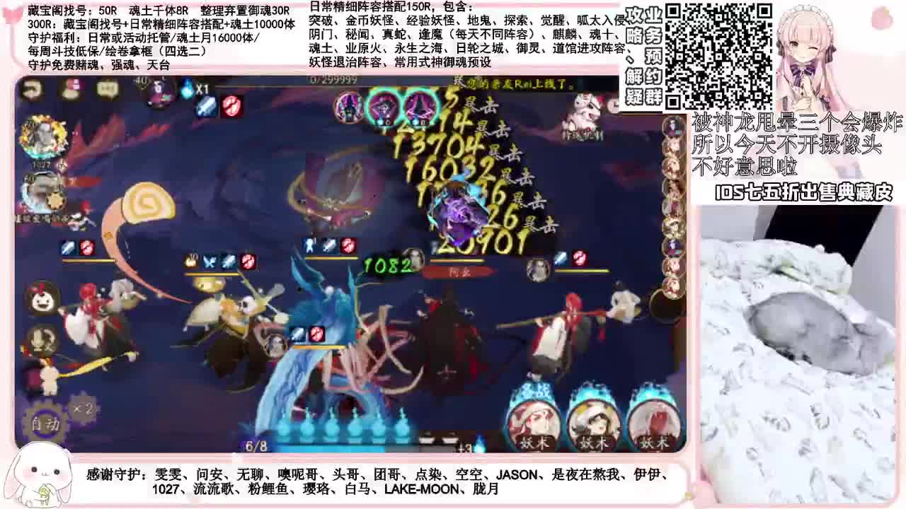 今天是猫咪主播 接各项业务 第1段
