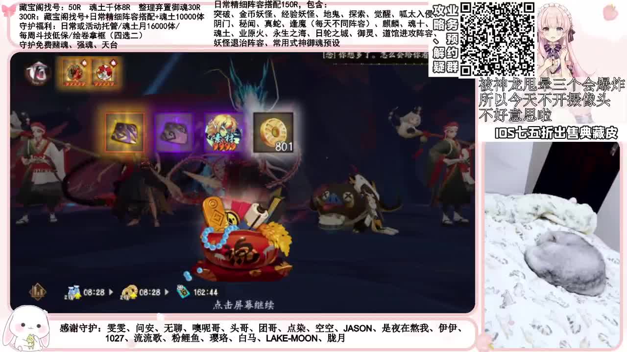 今天是猫咪主播 接各项业务 第2段
