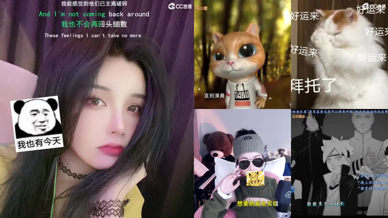 唱歌的勇武菜猪 第1段