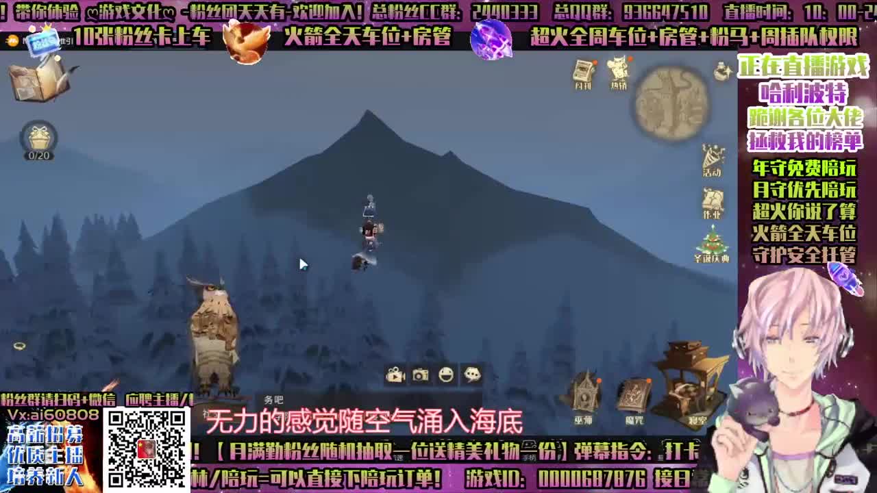 哈利波特-双排-单排-学院应援-招主播