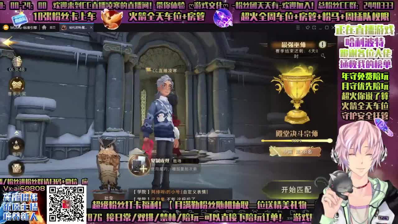 哈利波特，双排-单排！接所有-招主播！