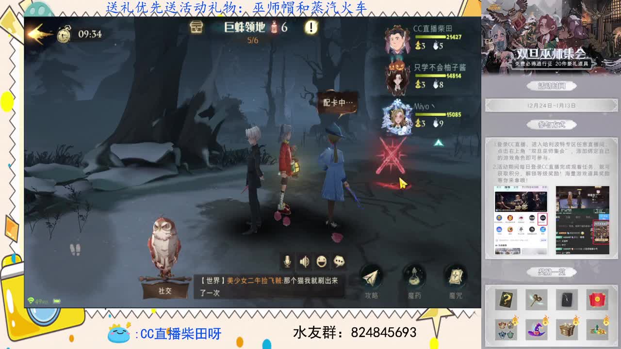 天梯前十，野排上分 第2段