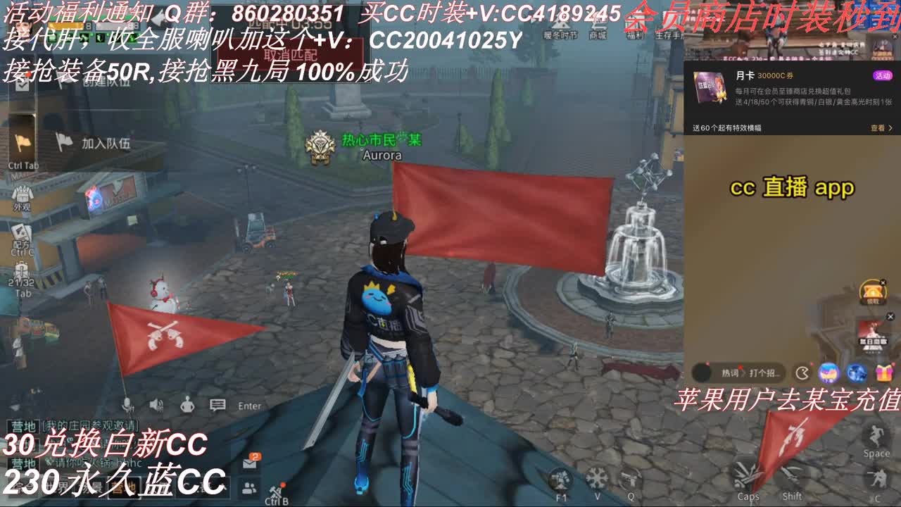 30元换两套CC秒到 第2段