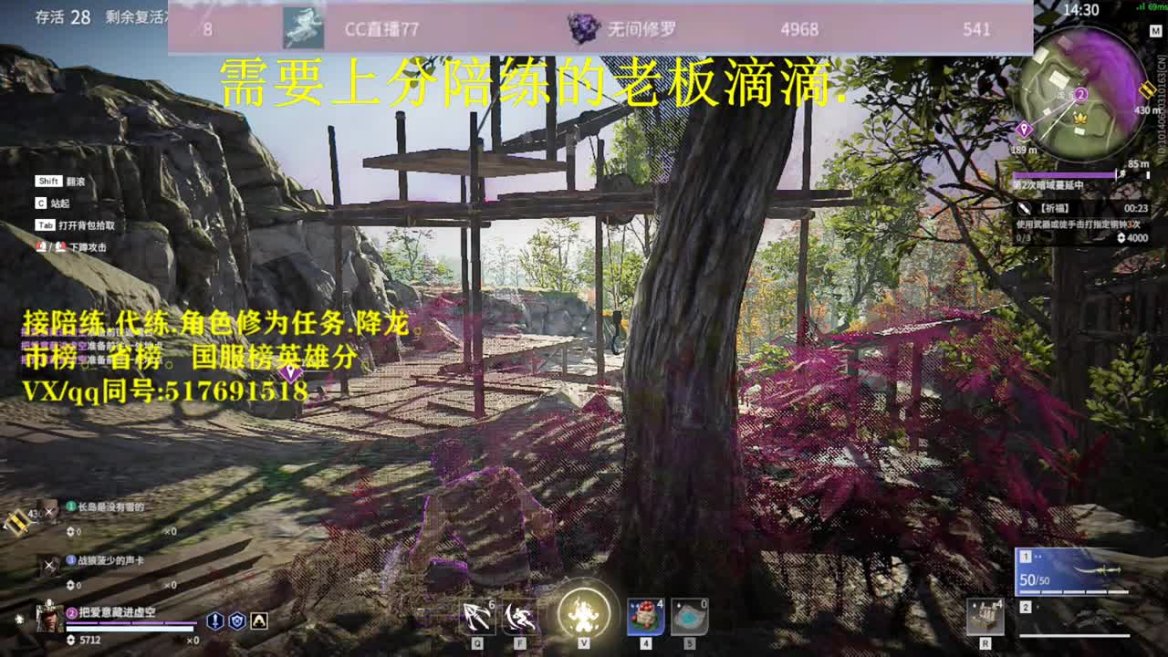 天人修罗接：陪连，带连，图龙，修为 第2段