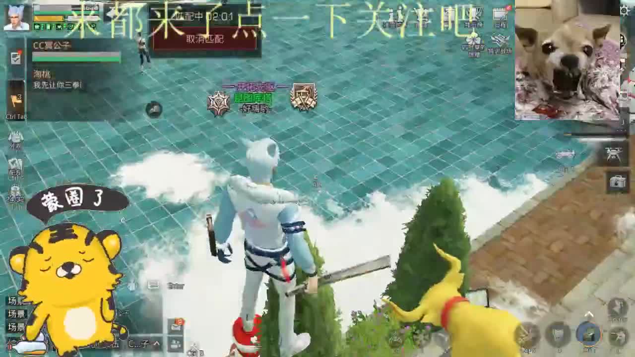 2022萌虎出击 第2段