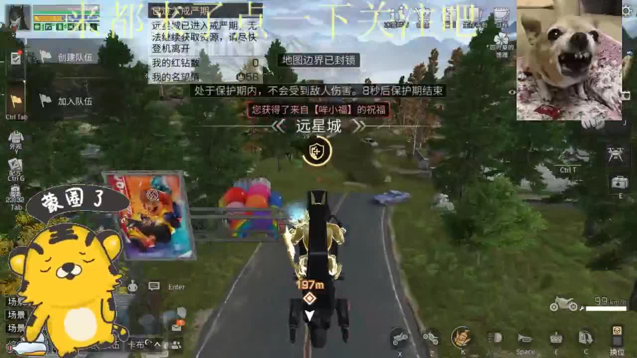 2022萌虎出击 第2段