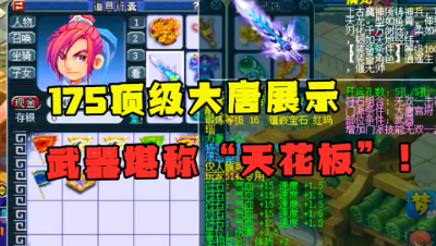 梦幻西游：175顶级大唐，宝宝价值超100万，一把神器堪称天花板！