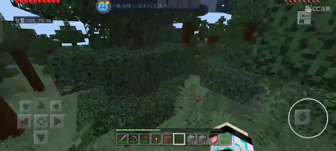 回老家了只能用手机玩