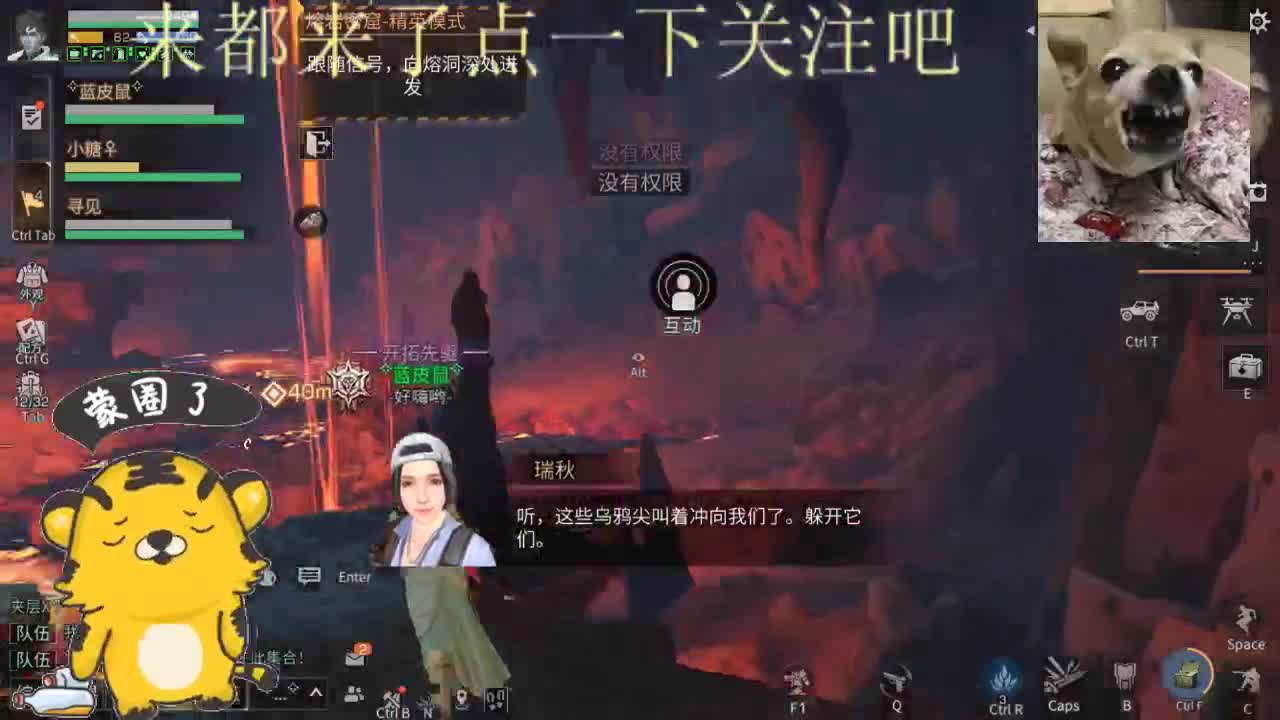 2022萌虎出击 第1段