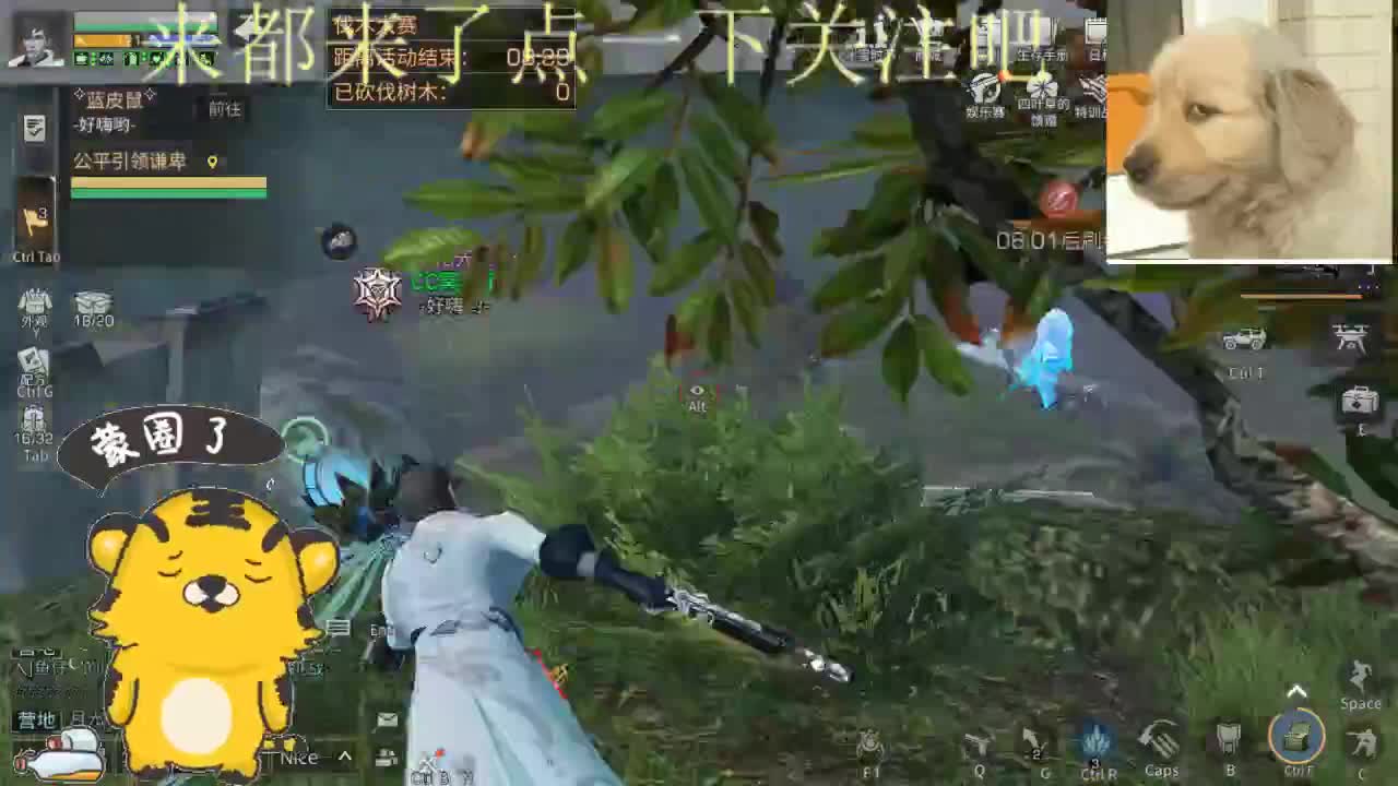 2022萌虎出击 第1段