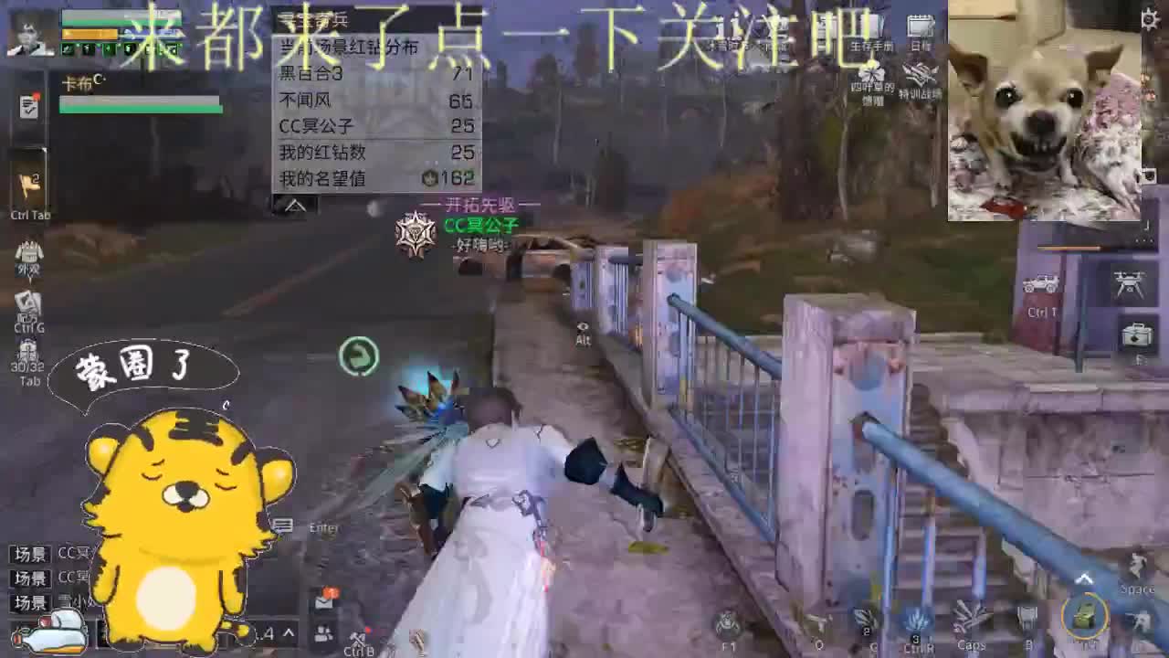 2022萌虎出击 第2段