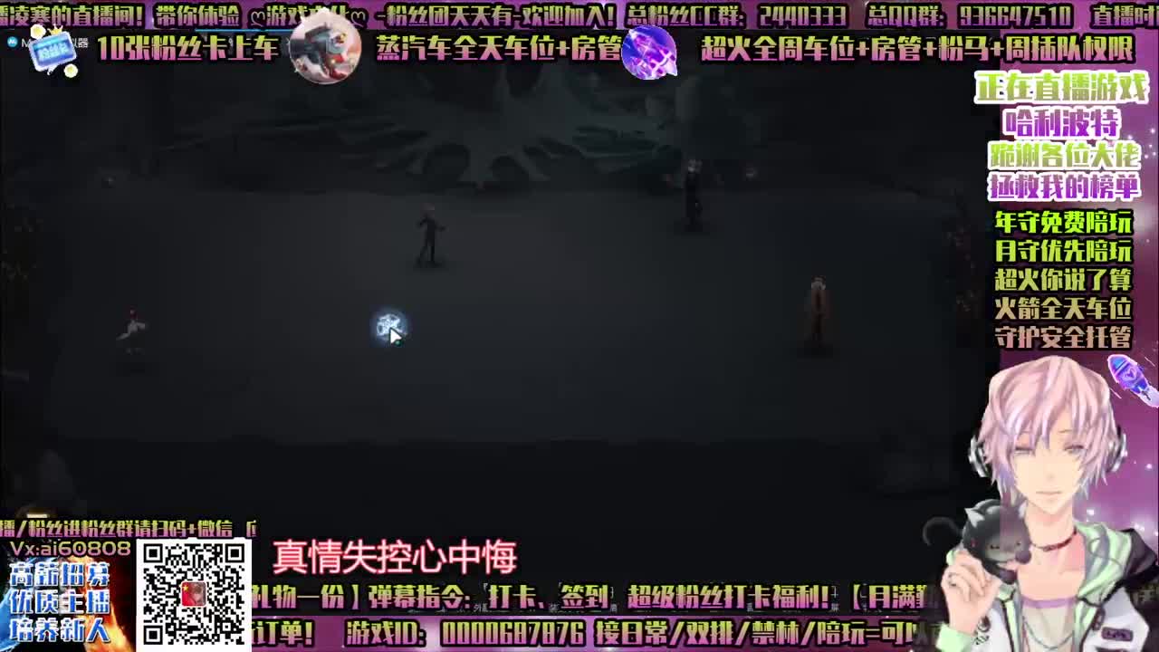 哈利波特-双排单排-接所有！招主播！
