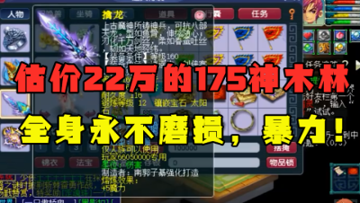 梦幻西游：取出估价22万神木林，全身永不磨，看到还价老王懵了！