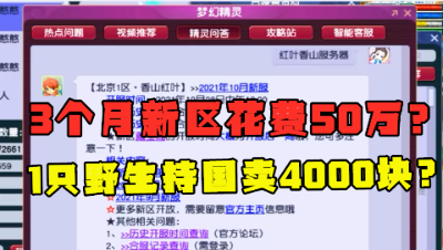 梦幻西游：新区有多恐怖？3个月花费超50万，1只野生持国4000块？
