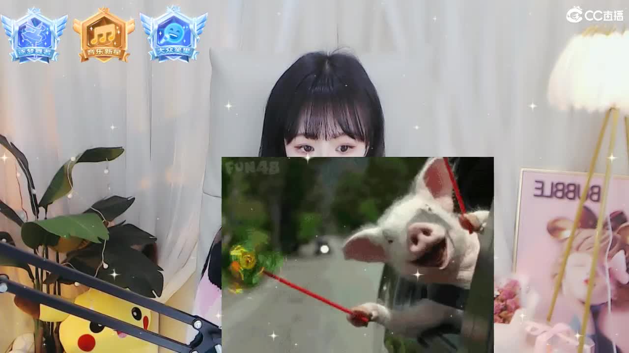 69广东四区白云山 第1段