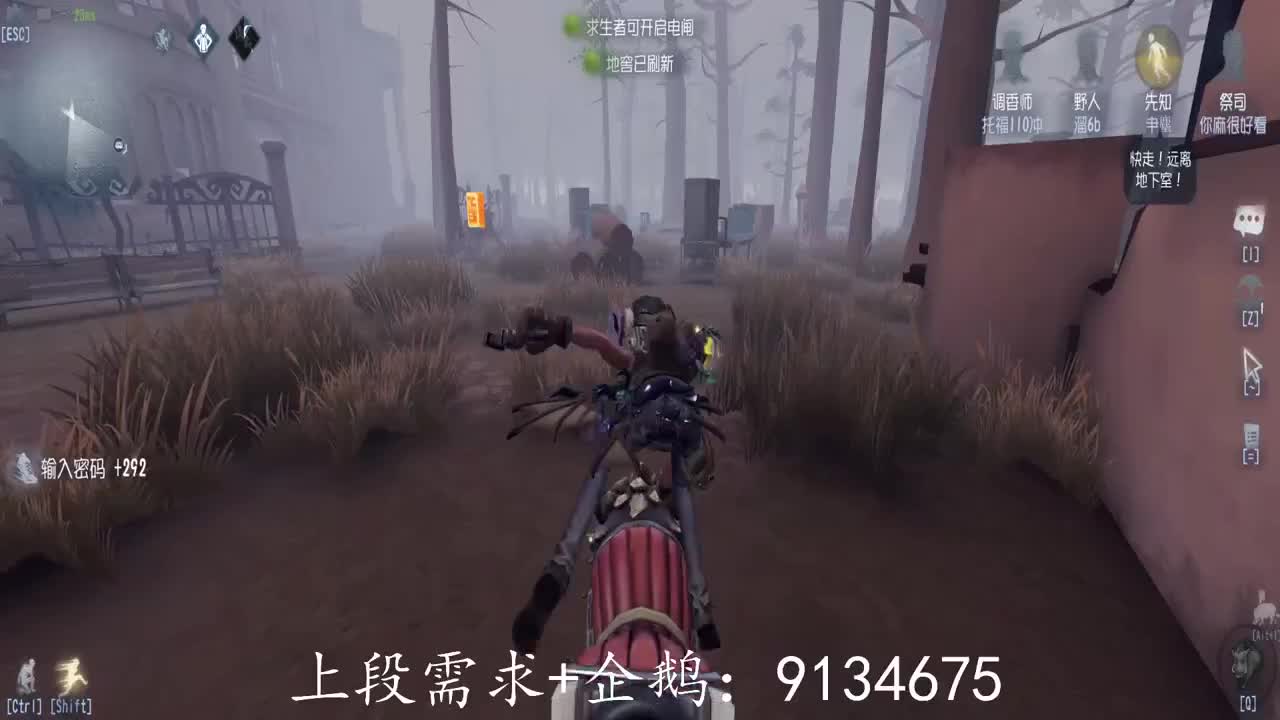 巅峰双皇在线接单