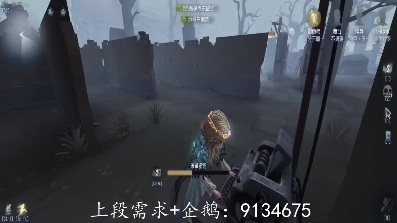 巅峰人皇在线接单