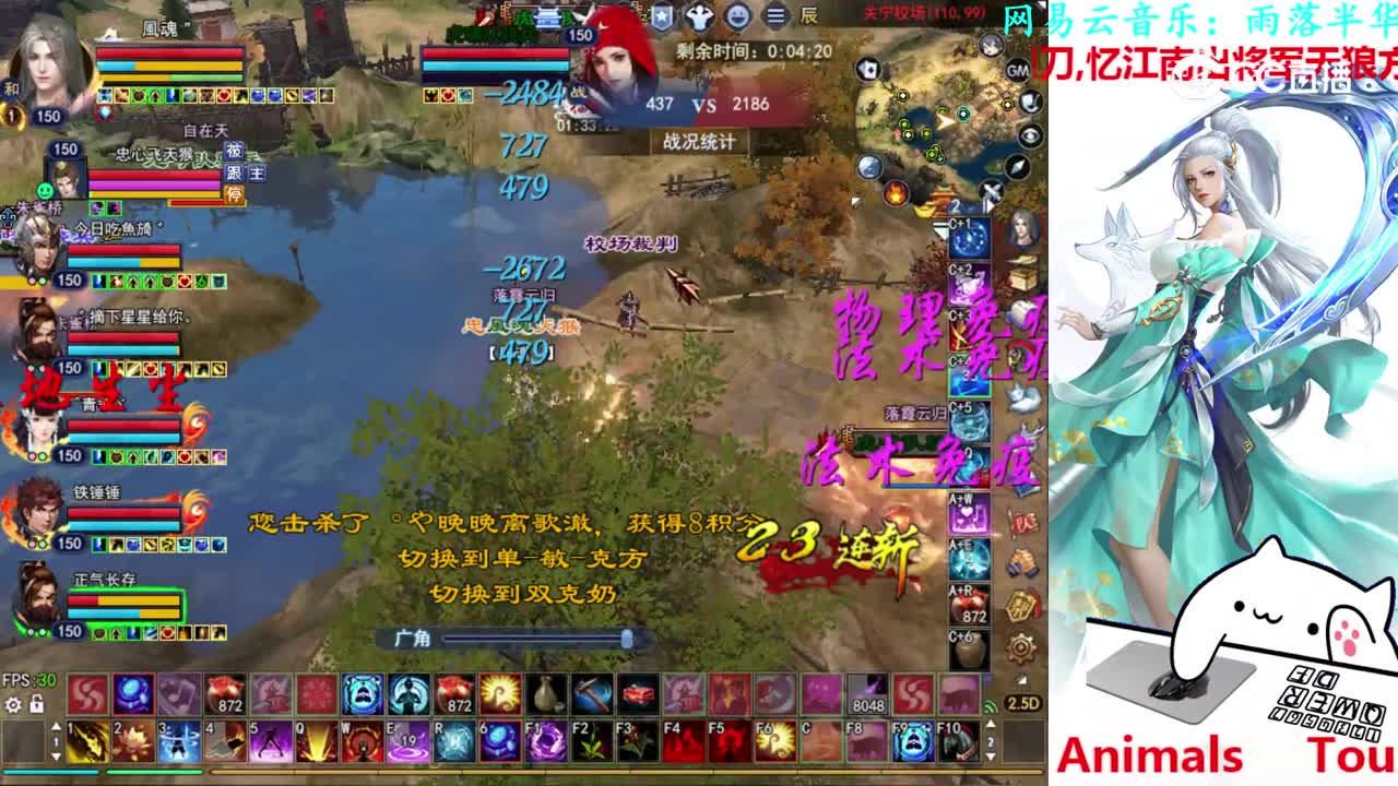 菊花150司星2