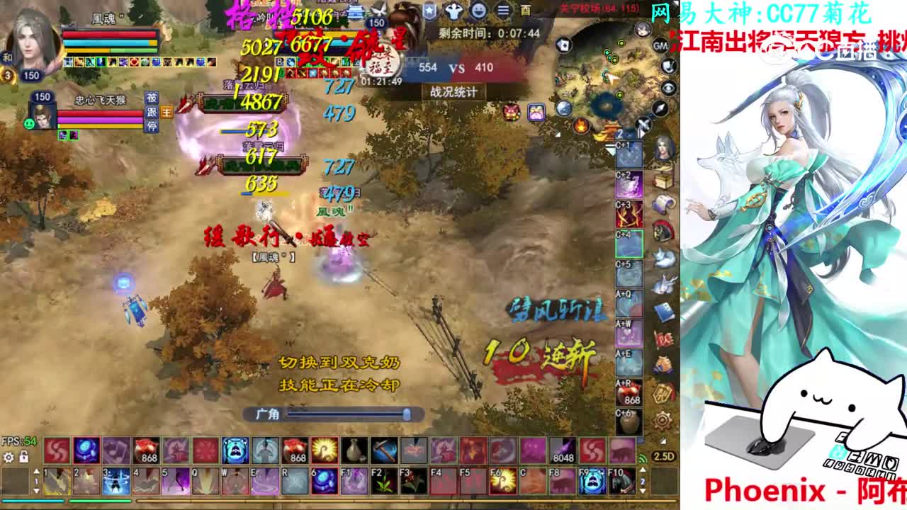 菊花150司星3