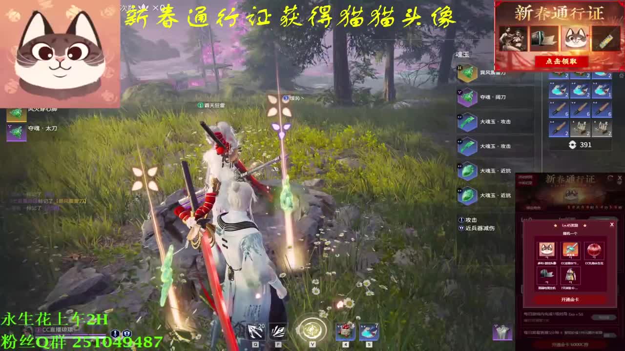 送飞梭领战旗皮肤猫猫头像 第2段