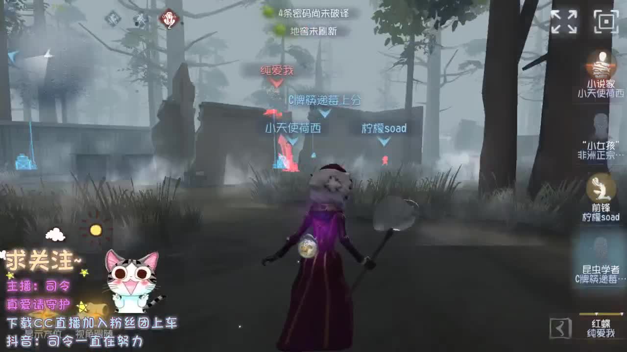 我从没有见过极光出现的村落