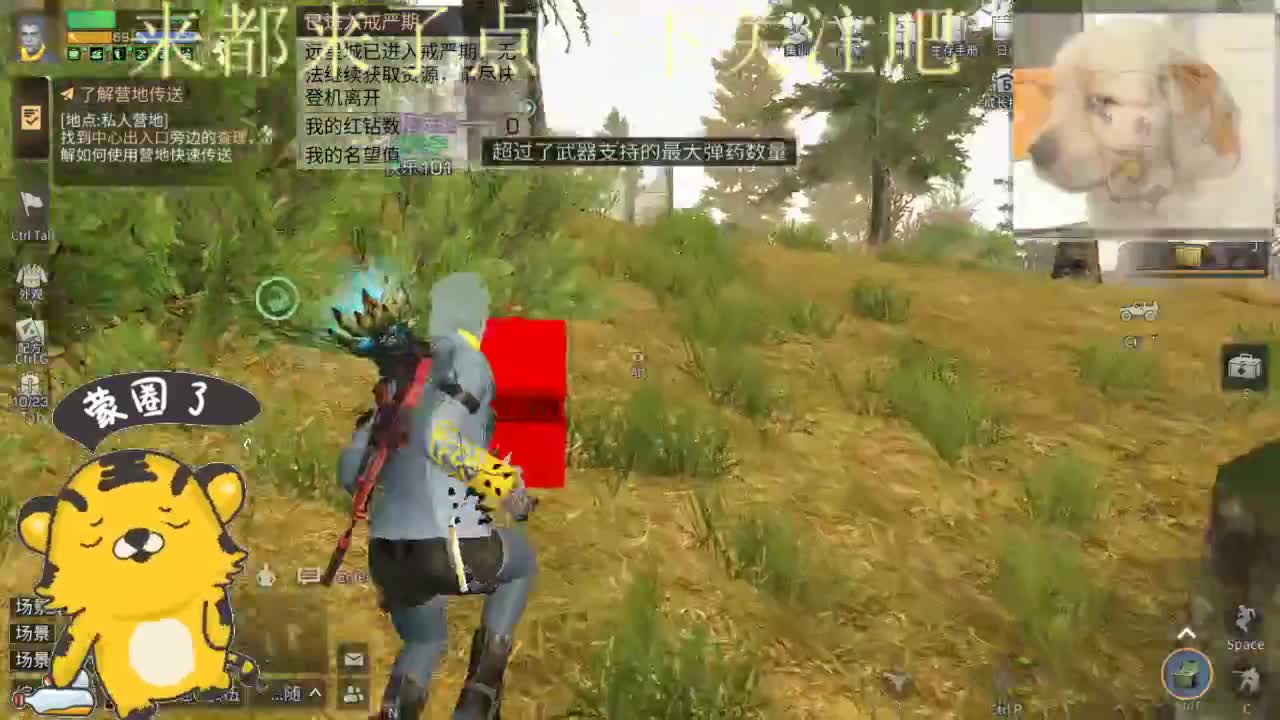 在线夺笋 第3段