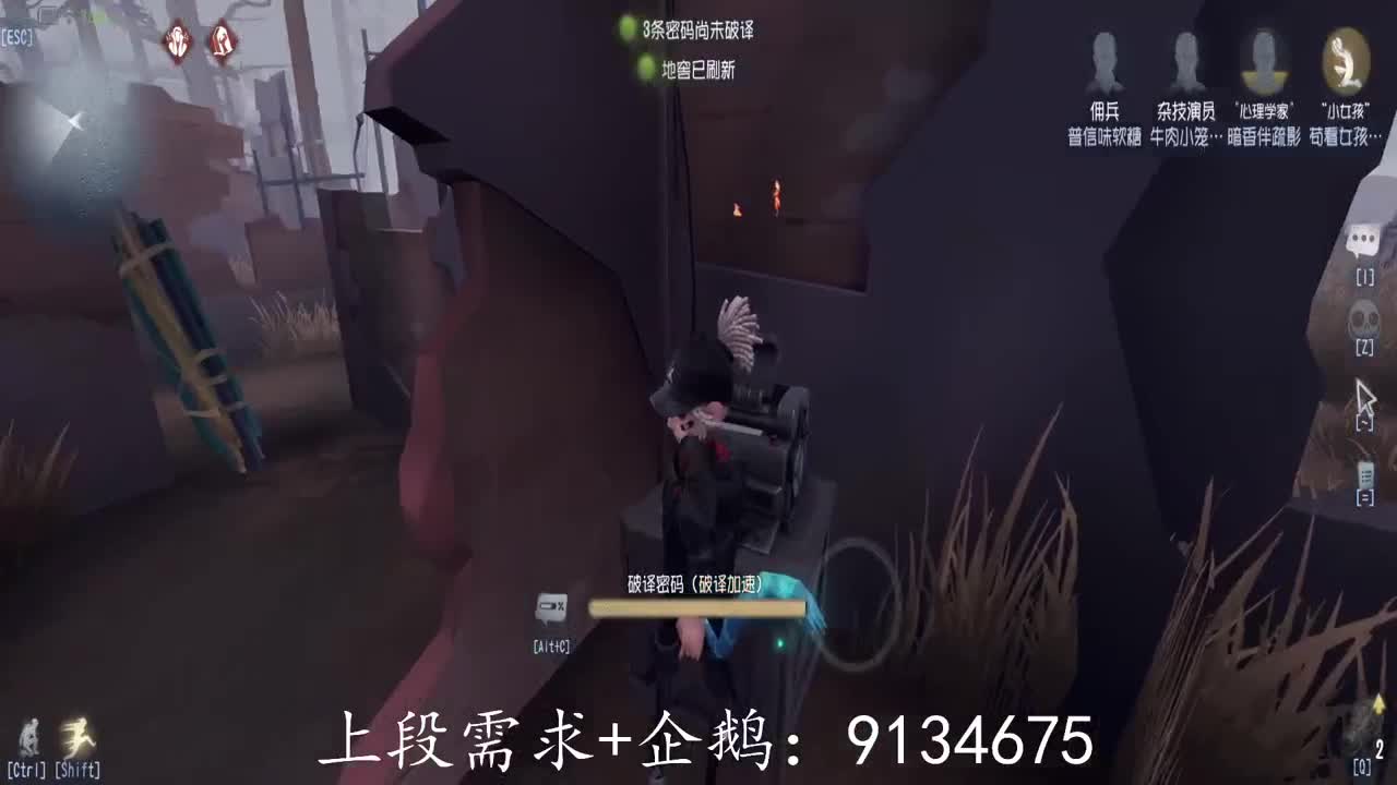 巅峰人皇在线接单