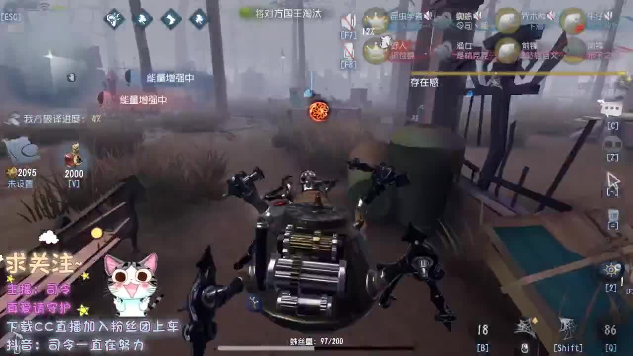我从没有见过极光出现的村落