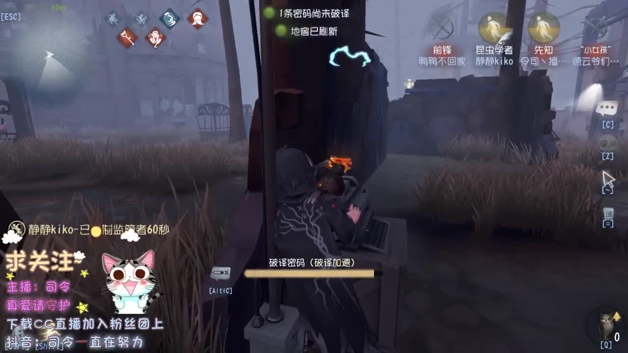 我从没有见过极光出现的村落