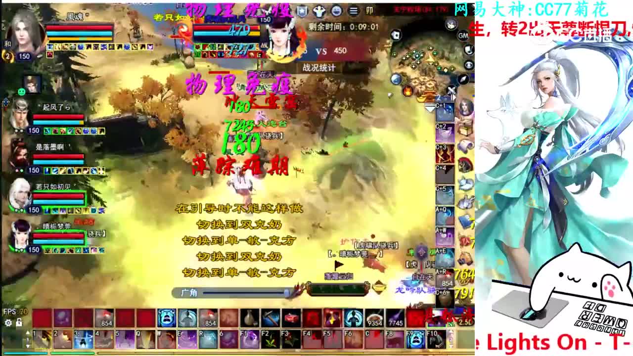 菊花150司星2