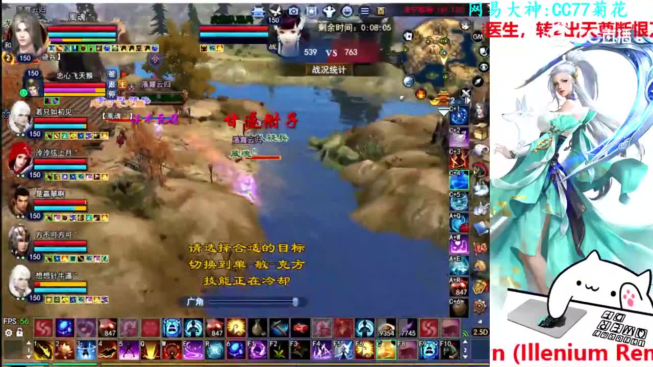 菊花150司星3