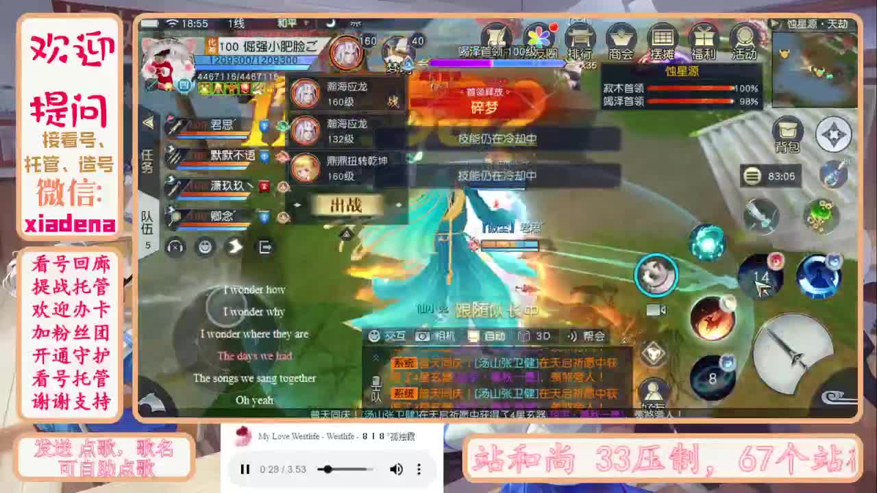 收纳孤独患者 第1段