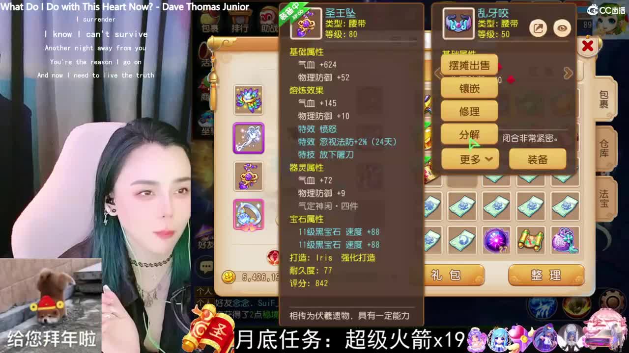 唱歌的勇武菜猪