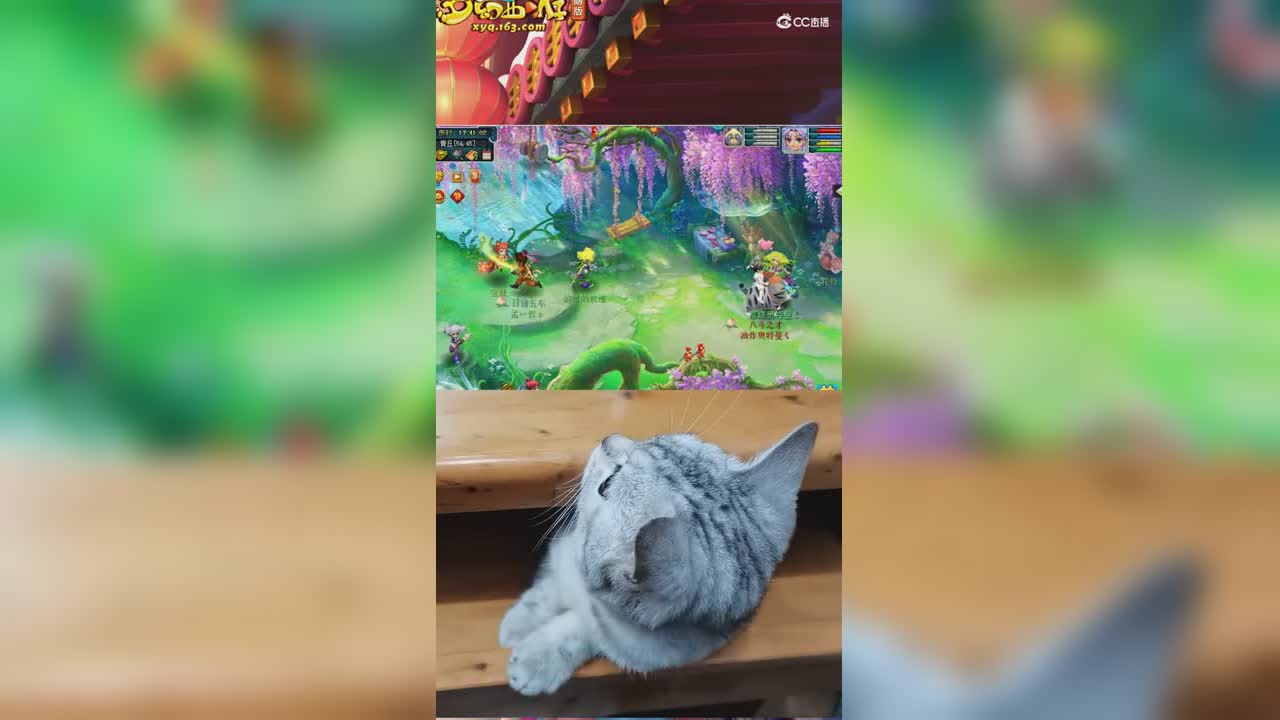 正遇涂山瞳呢遭遇萌宠我是不是要停下来撸一把先