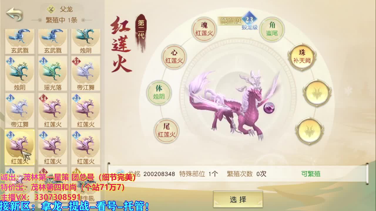 新年快乐虎年大吉