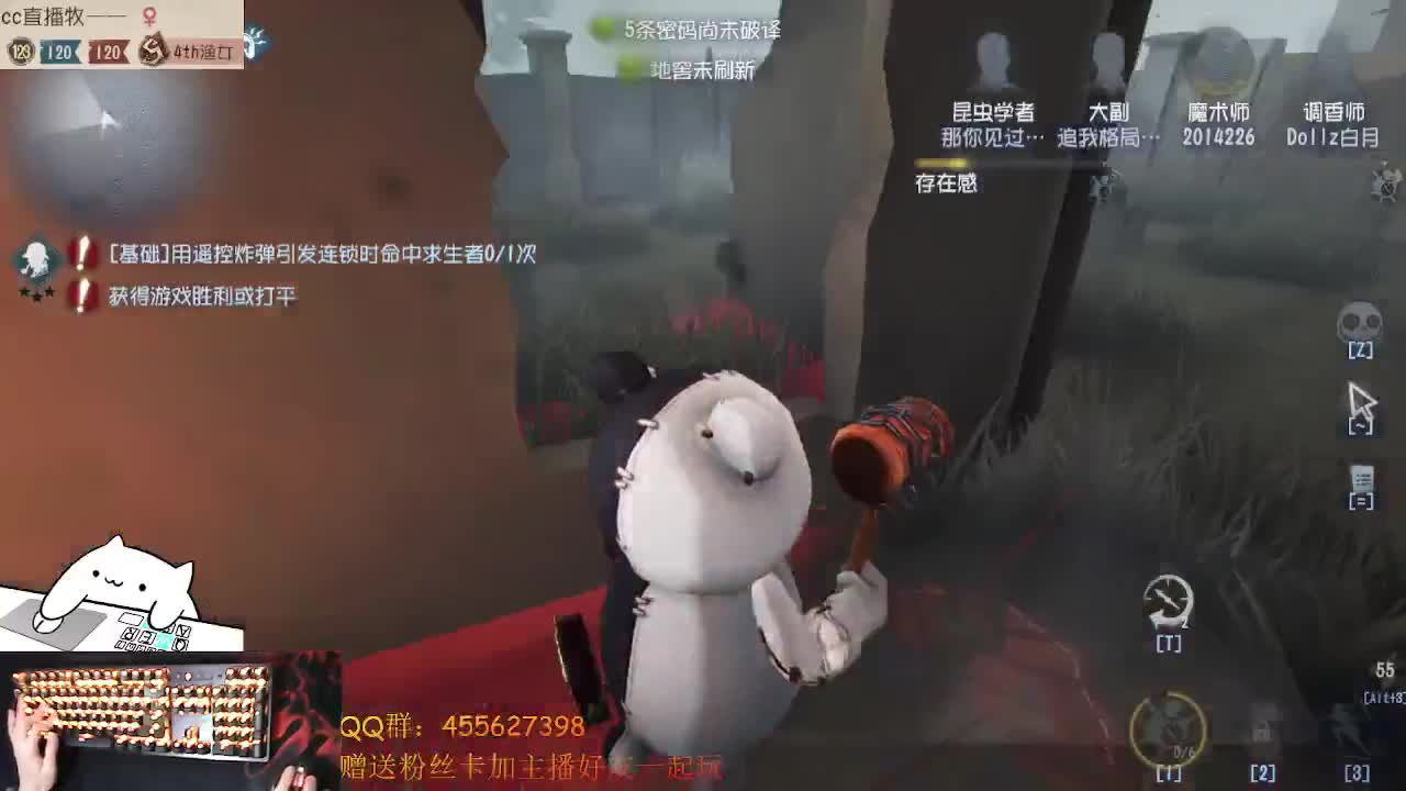 渔女和红夫人鸭